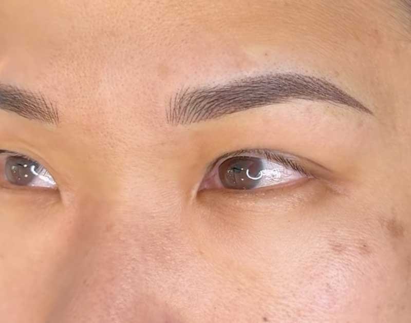 Combo-Brows-Example-5