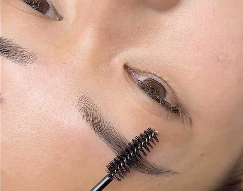 Nano-Hairstroke-brows-example-4