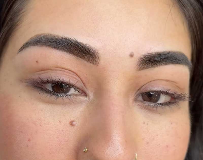 Ombre-Powder-Brows-example-2